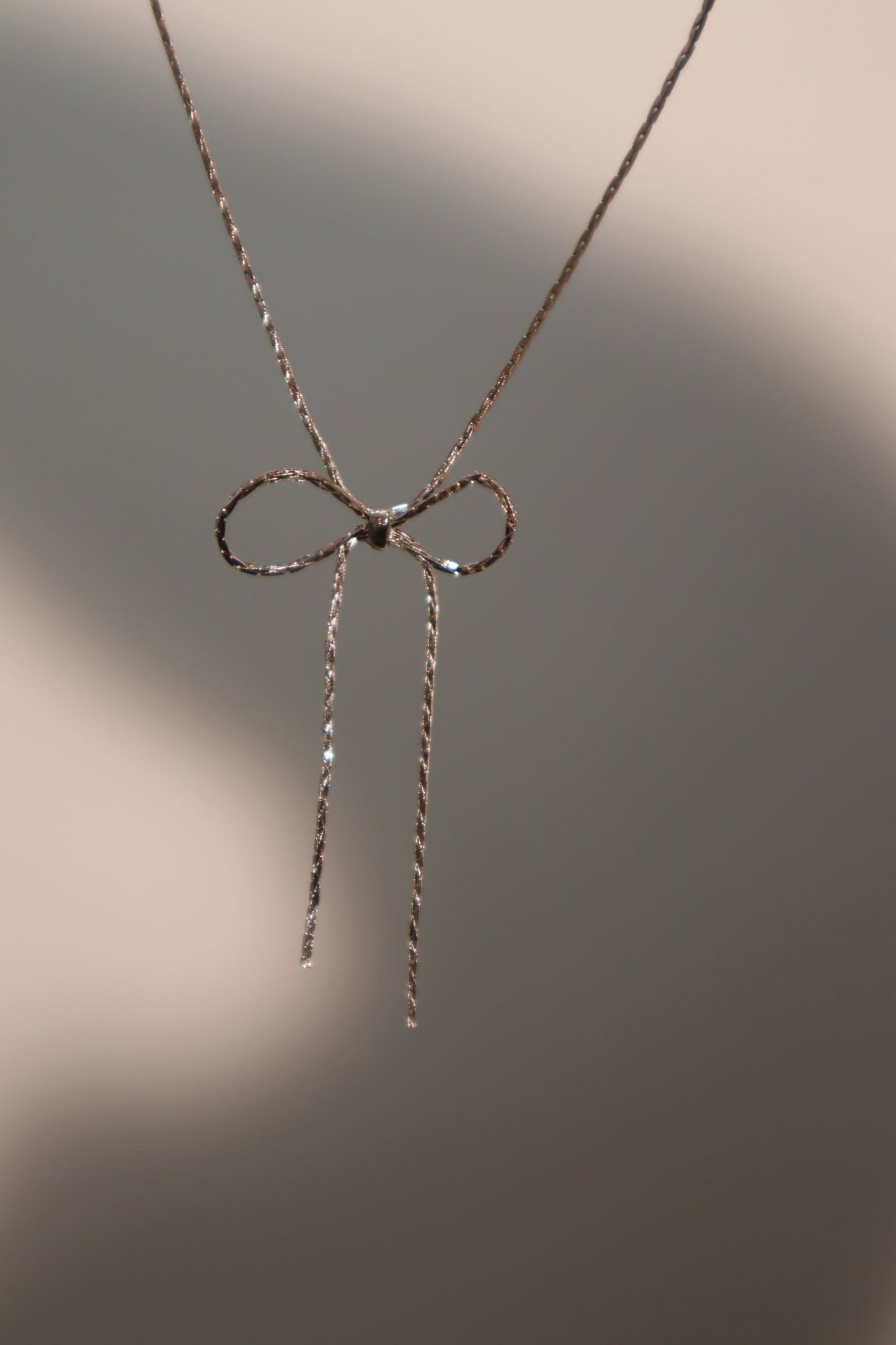 Collar con lazo de acero inoxidable