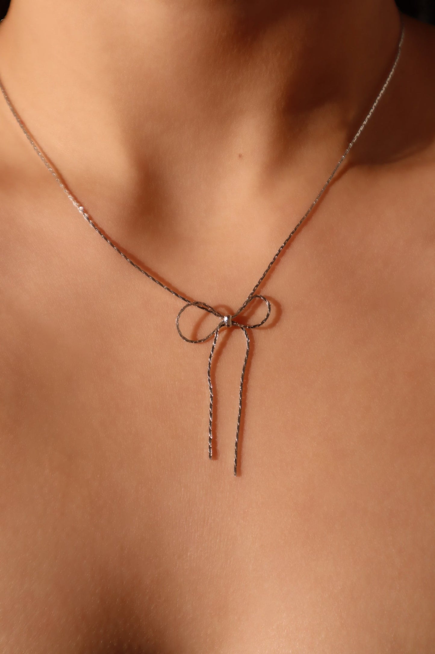 Collar con lazo de acero inoxidable