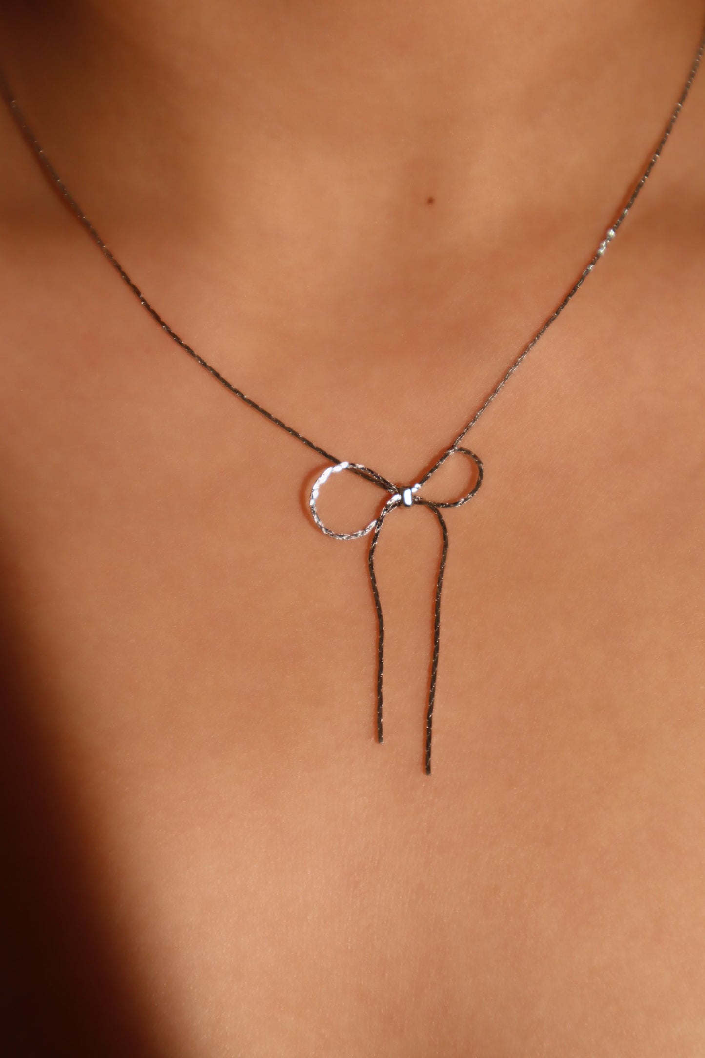 Collar con lazo de acero inoxidable