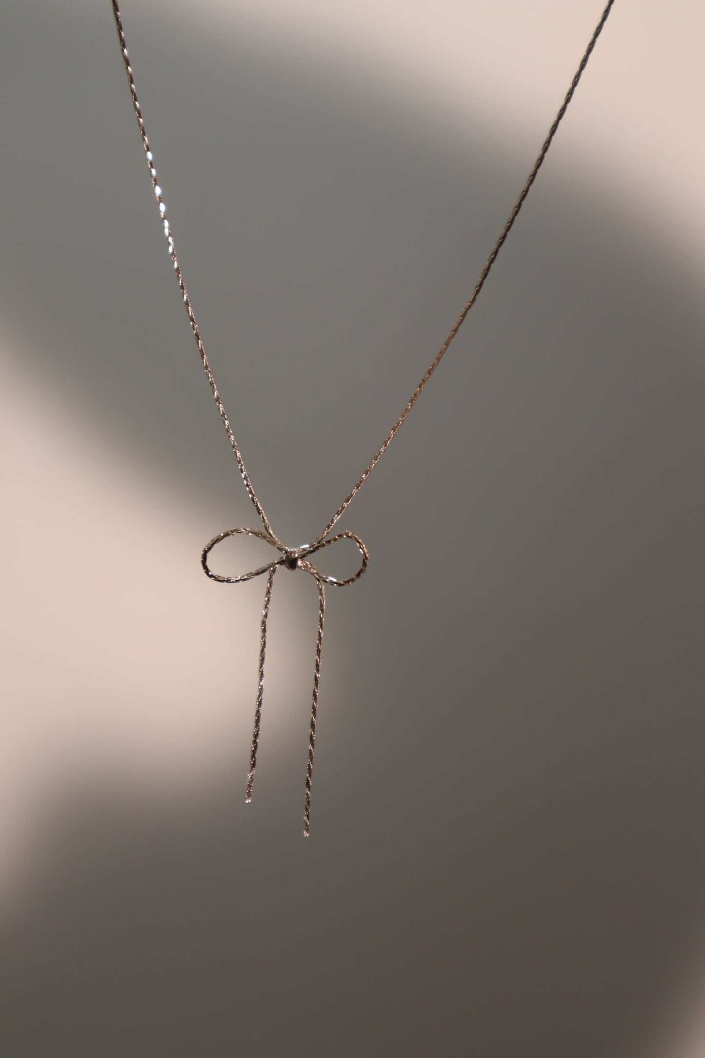 Collar con lazo de acero inoxidable