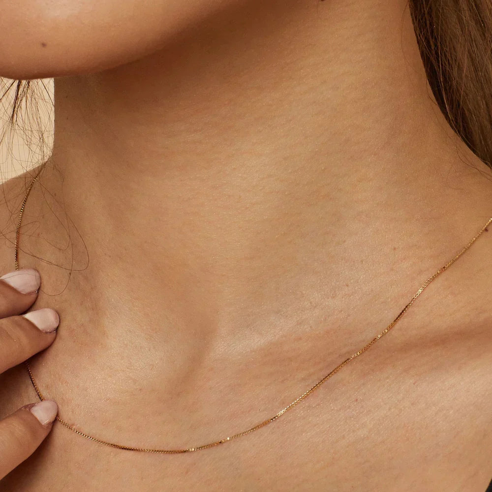 Collar de Bodega Box