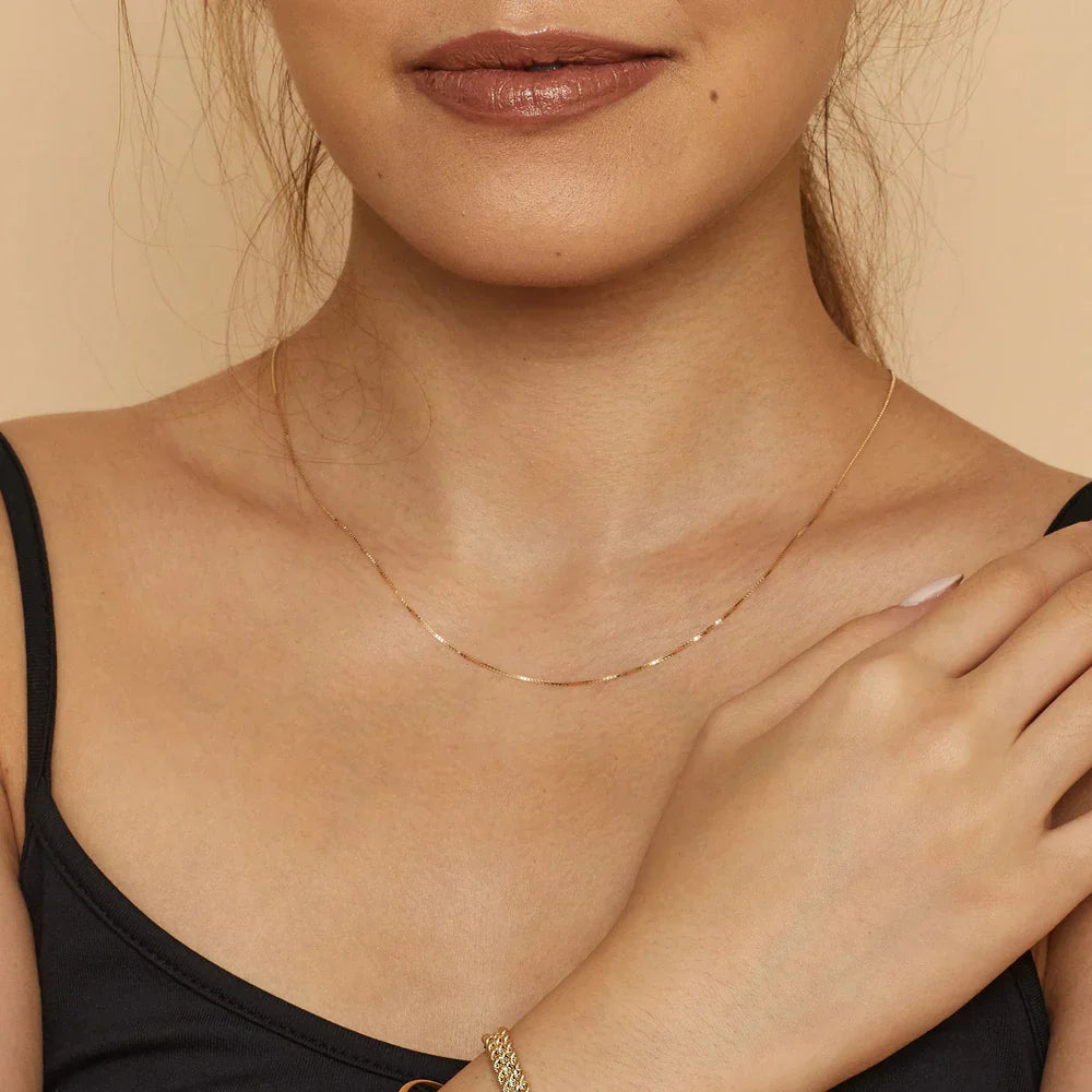 Collar de Bodega Box