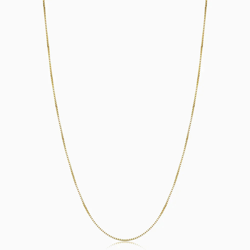 Collar de Bodega Box