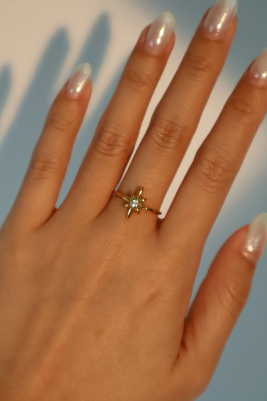 Anillo de acero inoxidable con estrella polar y diamantes