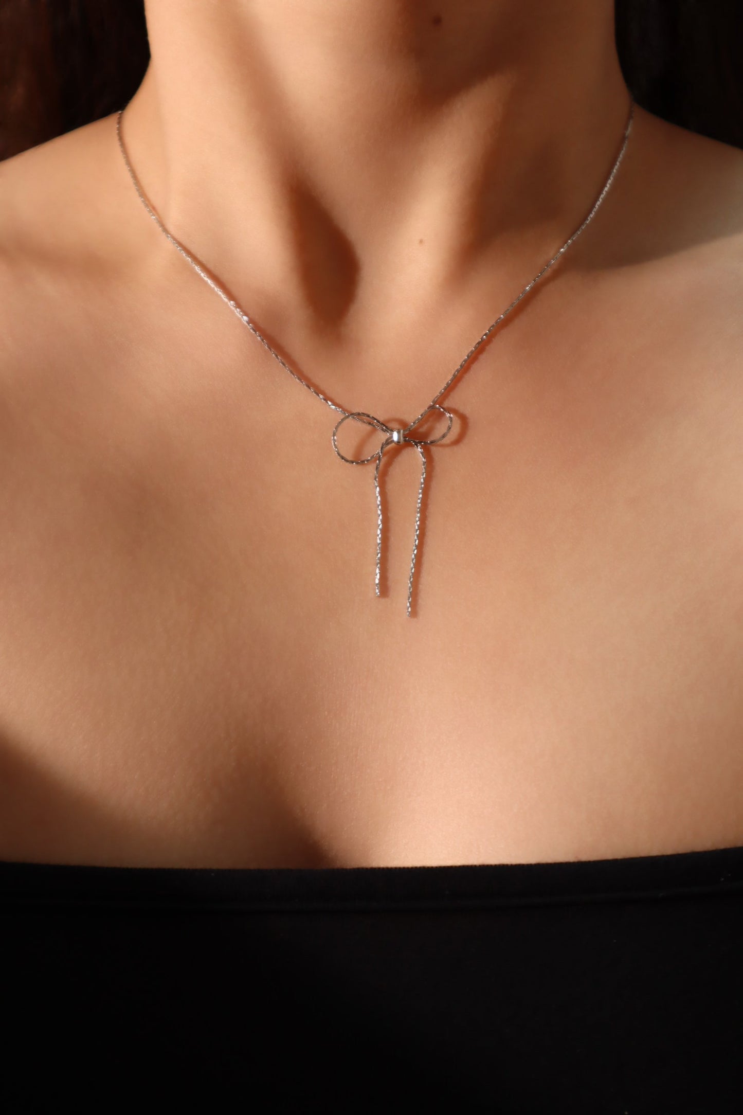 Collar con lazo de acero inoxidable
