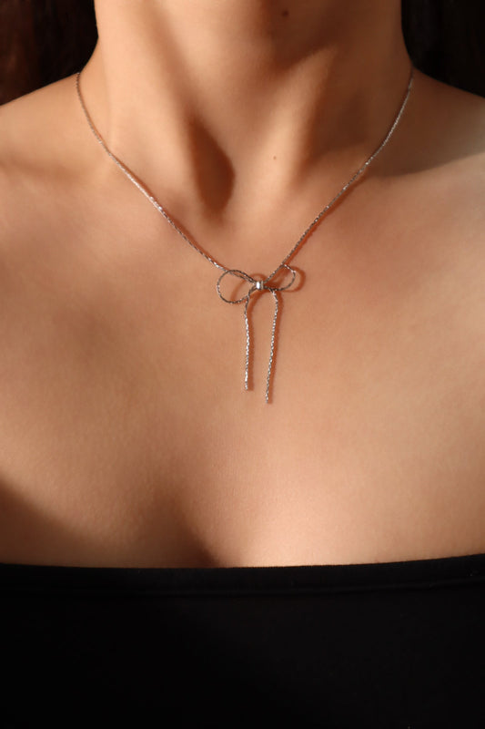 Collar con lazo de acero inoxidable