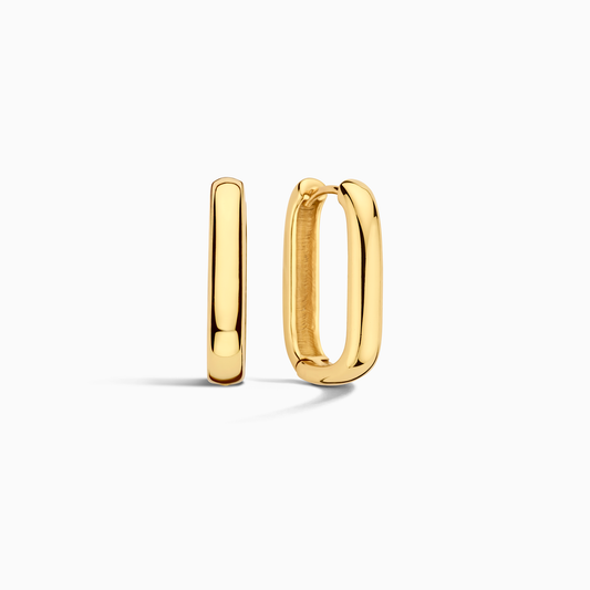 Aretes de aro Icono