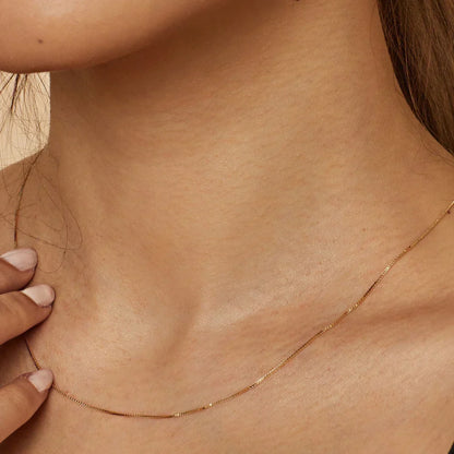Collar de Bodega Box