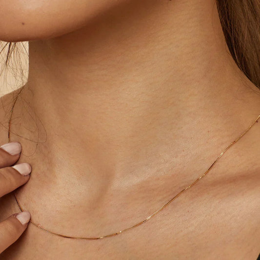 Collar de Bodega Box