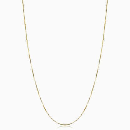Collar de Bodega Box