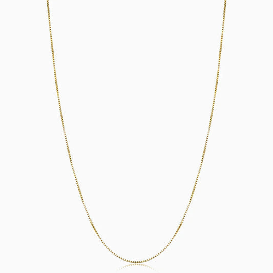 Collar de Bodega Box