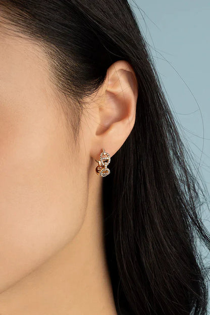 Aretes Isla Marina