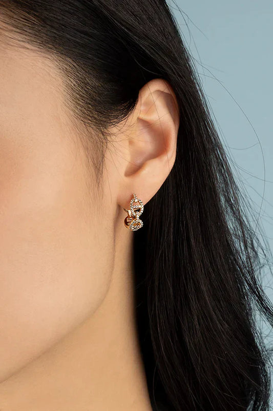 Aretes Isla Marina